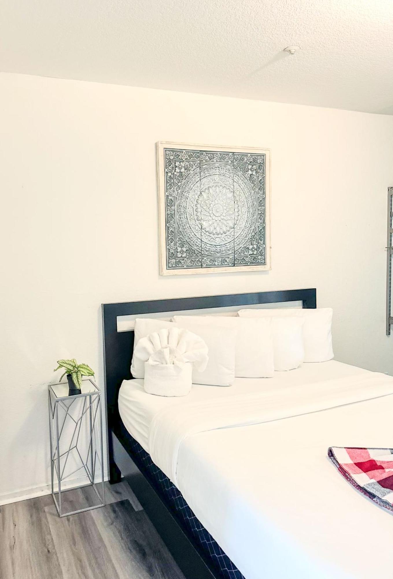 Apartment Stylish Loft Near Downtown With Free Parking